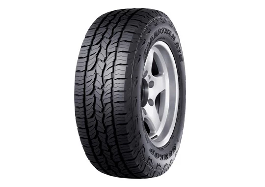 Neumático Dunlop dunlop at5 113t 275/55 R20